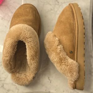 Uggs classic slipper